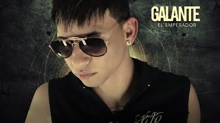 Galante  Si Se Da Lyric Video [upl. by Yoc]