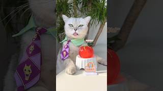 Longyin Tomato Shockingly Taste Like Strawberries🍅❓🍓tiktok catsofyoutube [upl. by Wachter]