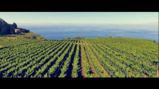 Madeira Wine Festival  Promotional Video [upl. by Enidualc]