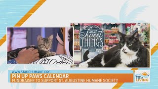 Pin Up Paws Calendar to Benefit St Augustine Humane Society [upl. by Weiser]