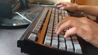 ASMR Study Sounds Featuring a Unicomp buckling spring clicky keyboard [upl. by Highams848]