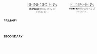 Learning Reinforcers and Punishers [upl. by Callan489]