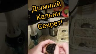 Забиваем дымный кальян [upl. by Kathlene]