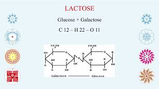 The Seven Essential Chemical Forms of Carbohydrates for Human Digestion Assimilation and Health [upl. by Bernette]