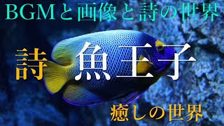 詩 魚王子 [upl. by Kartis]