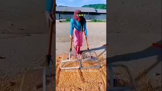 Amazing Agricultural Filter Sieve  Efficiently Cleans Grain and Corn facts gadgets shorts [upl. by Ateikan]