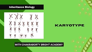 Karyotype [upl. by Edgell837]