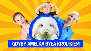 Gdyby Amelka była królikiem [upl. by Jesh]