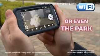 Motorola Scout 1 WiFi Pet Camera [upl. by Slavic]