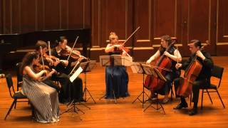 Arnold Schoenberg  Transfigured Night for String Sextet Op 4 [upl. by Delle]