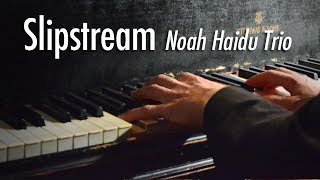 Slipstream The Noah Haidu Trio [upl. by Rudman30]