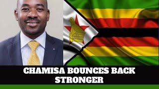 CHAMISA BOUNCES BACK SHAKES GUTU AND ZANU PF [upl. by Libbey]