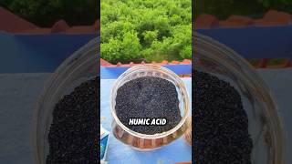 5 Essential Fertilizers amp Pesticides for a Thriving Garden 🌱✨ PlantCare OrganicGardening [upl. by Borries]