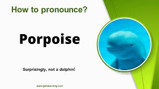 How to Pronounce Porpoise in English Correctly [upl. by Nnaeoj265]