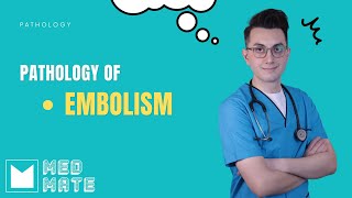 Embolism  Pathology [upl. by Adnil829]