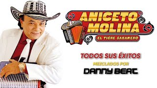 Aniceto Molina Mix Cumbia Navideña 20242025🎄🎅 [upl. by Virgy]