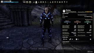 ESO 45K 6mil dummy Stamblade HotR [upl. by Aliehs]