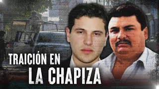 ¿⁣El Guano traicionó a Los Chapitos Así La Familia Guzmán Tiembla ante el poder de la Mayiza [upl. by Vinny]