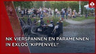 NK Vierspannen en Paramennen in Exloo Kippenvel [upl. by Nnainot]