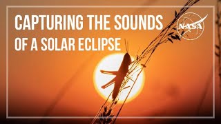 Help NASA Capture the Sounds of a Total Solar Eclipse [upl. by Aliab]