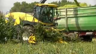 New Holland FR600 Silage 2014 [upl. by Nananne]