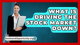 What Is Driving the Stock Market Down  AssetsandOpportunityorg [upl. by Button79]