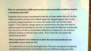 membrane potential and permeability [upl. by Ardeed]