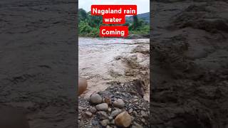 Nagaland heavy rainfall nagaland dimapur rain rainfall heavyrain [upl. by Mayrim55]