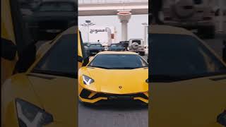 Gaddi Lamborghini Peele Rang De song shorts shortsindia lamborghini [upl. by Elnora]