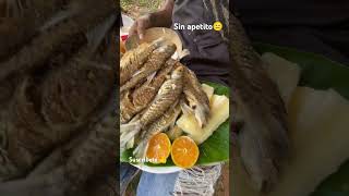 SIN APETITO🙂🐟🐟puro fósforo 😋 viralreel pescado pescadofresco viralshort viral [upl. by Nlocnil759]