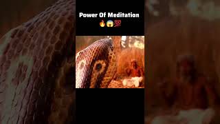 Power Of Meditation  Gautam Buddha Status shorts [upl. by Aleahcim]