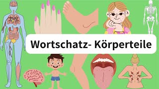 Deutsch lernen Die Körperteile wortschatz body parts A1 A2 [upl. by Takeshi]