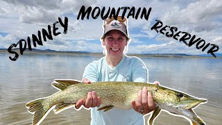 Spinney MOUNTAIN Reservoir Pike Fishing COLORADO [upl. by Aray]