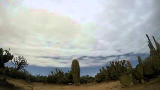 Time Lapse  Sonoran Desert Night Sky [upl. by Grubman]