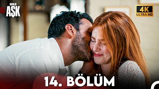 Kiralık Aşk Yeniden 14 Bölüm 4K Ultra HD [upl. by Teews]