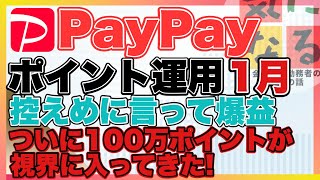 【恒例】PayPayポイント運用2024年1月運用結果報告。ついに100万ポイントの背中を捉えた。想像を遥かに超えています。 [upl. by Theone]