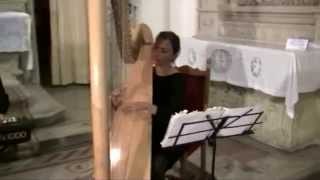 musica in chiesa trio arpa violino e organo [upl. by Mariandi]