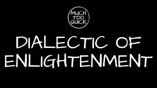 MuchTooQuick Overview Episode 24 Dialectic of Enlightenment [upl. by Eseerahs]