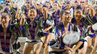 Awaodori Dance Festival in Tokushima Japan  2023 Awaodori  ASMR [upl. by Wulfe87]