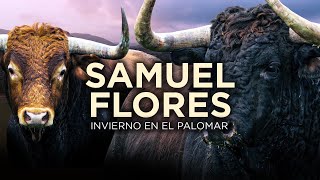 SAMUEL FLORES  Capítulo 1 Nuevas ilusiones [upl. by Fuld]