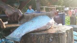 Excellent Cutting Skills  Big Rohu Fish Cutting By Expert Fish Cutter [upl. by Inge841]