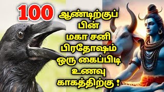 100 ஆண்டிற்குப் பின் மகா சனி பிரதோஷம்  ஒரு கைப்பிடி உணவு காகத்திற்கு  sanikilamai prathosam [upl. by Fenton981]