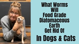 Deworming Dogs and Cats with Diatomaceous Earth Natural Parasite Control [upl. by Euphemiah]