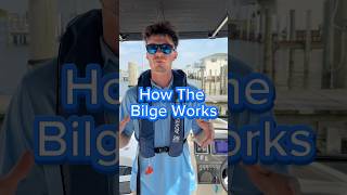 How Does The Bilge Pump Work💧🚫Boats Boating boat [upl. by Cassidy]