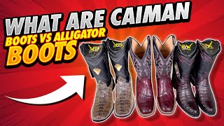 What Are Caiman Boots Vs Alligator Boots [upl. by Razatlab]