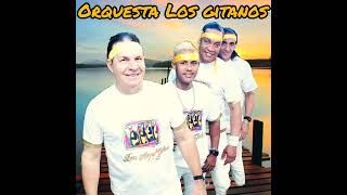 quot Con Gusto quot Los gitanos tributo a tony seval [upl. by Quintessa]