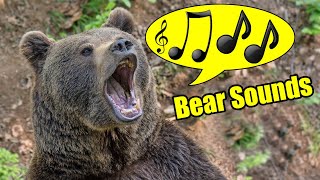 Bear Sounds – Bear Vocalizations and Communication [upl. by Walther911]