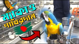 মাকাও পাখির দাম কত ‌।। Macaw bird price in bangladesh [upl. by Bartholemy]