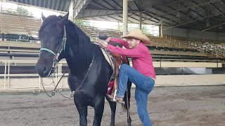 Recorrido por Rancho Santa María previo al Caladero Futurity Millonario en Tlajomulco de Zúñiga Jal [upl. by Fortunio]