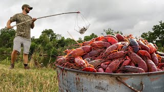 Catching CRAWFISH the OLD SCHOOL Way Catch and Cook [upl. by Asin]